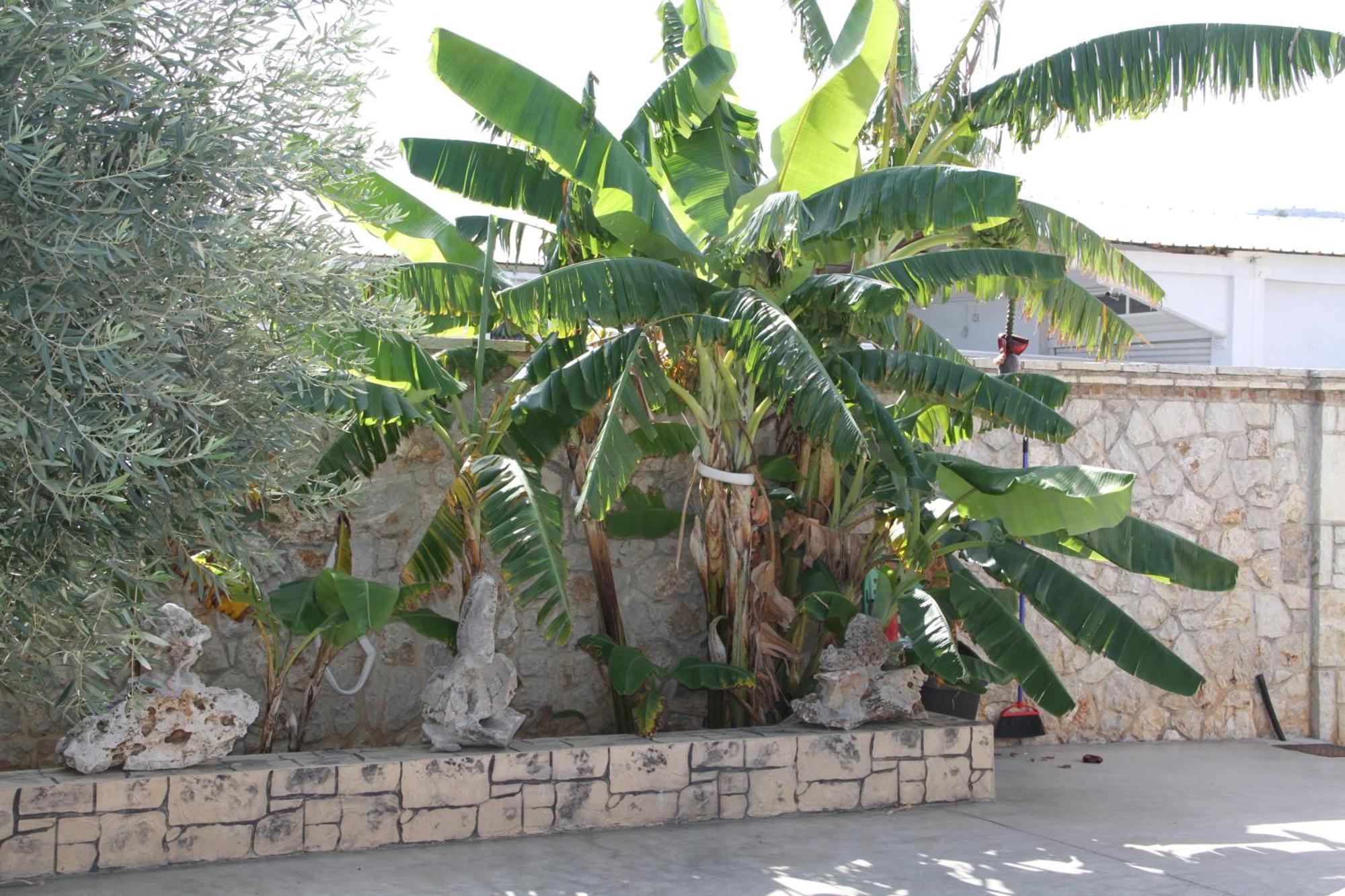 Αριων Village & Suites Nauplion Zewnętrze zdjęcie